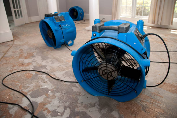 Best Mold removal after water damage  in Maywood Park, OR