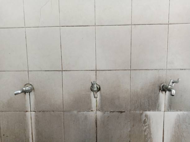 Reliable OR Water damage restoration Solutions